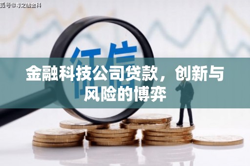 姑苏金融科技公司贷款，创新与风险的博弈