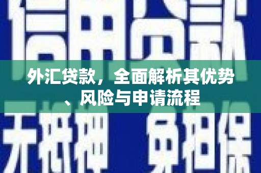 姑苏外汇贷款，全面解析其优势、风险与申请流程