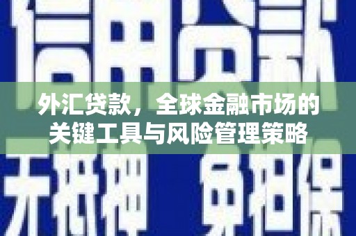 姑苏外汇贷款，全球金融市场的关键工具与风险管理策略