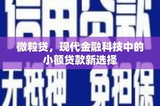 姑苏微粒贷，现代金融科技中的小额贷款新选择