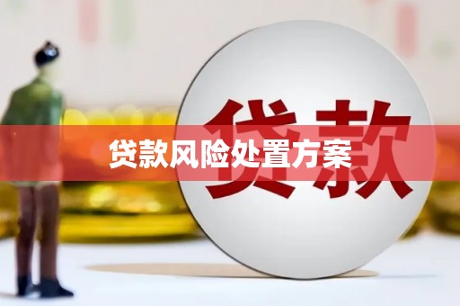 姑苏贷款风险处置方案