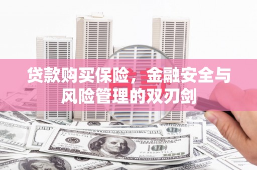 姑苏贷款购买保险，金融安全与风险管理的双刃剑