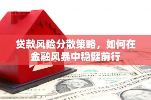 姑苏贷款风险分散策略，如何在金融风暴中稳健前行