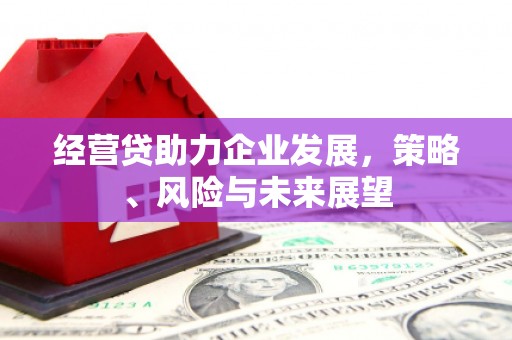 姑苏经营贷助力企业发展，策略、风险与未来展望