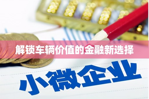 姑苏解锁车辆价值的金融新选择