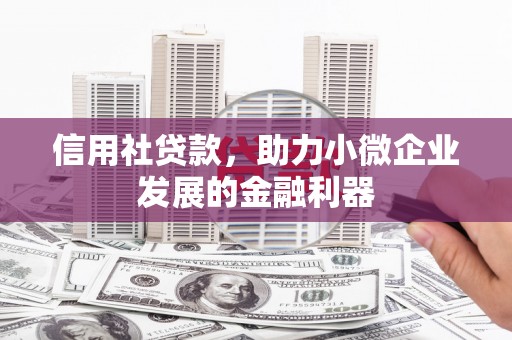 姑苏信用社贷款，助力小微企业发展的金融利器