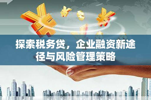 姑苏探索税务贷，企业融资新途径与风险管理策略