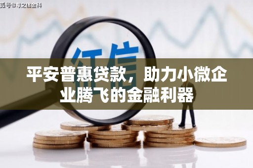 姑苏平安普惠贷款，助力小微企业腾飞的金融利器