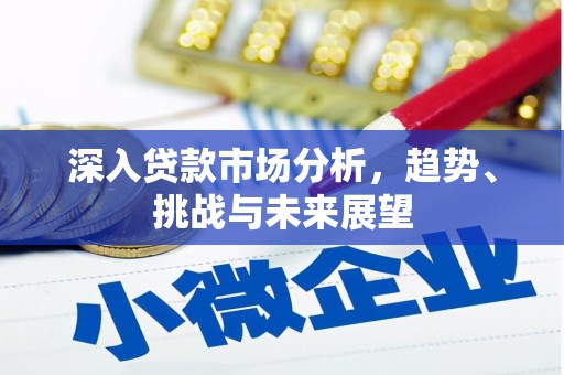 姑苏深入贷款市场分析，趋势、挑战与未来展望