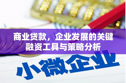 姑苏商业贷款，企业发展的关键融资工具与策略分析