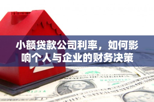 姑苏小额贷款公司利率，如何影响个人与企业的财务决策