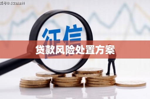 姑苏贷款风险处置方案