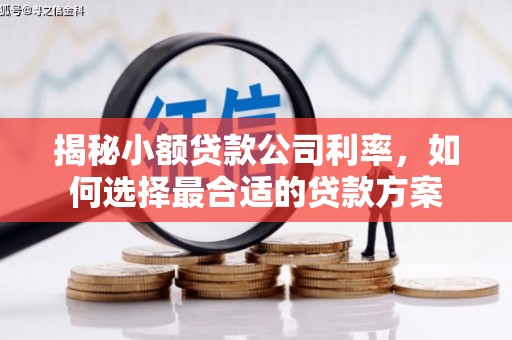 姑苏揭秘小额贷款公司利率，如何选择最合适的贷款方案