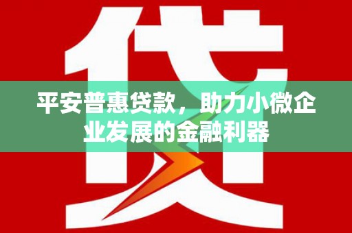 姑苏平安普惠贷款，助力小微企业发展的金融利器