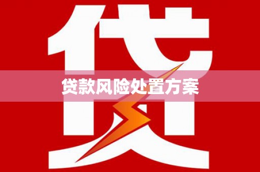 姑苏贷款风险处置方案