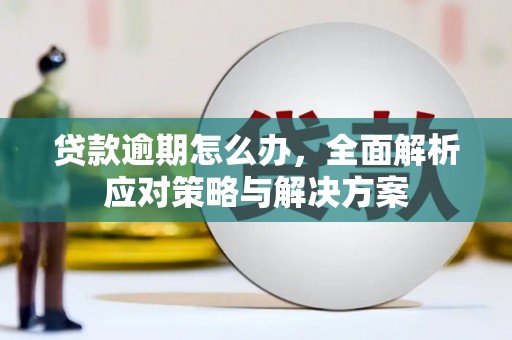 姑苏贷款逾期怎么办，全面解析应对策略与解决方案